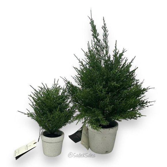 Hearth & Hand Magnolia 12" Faux Cypress Christmas Tree in Cement Pot - Picture 6 of 6
